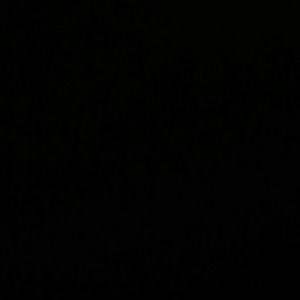 Meet your Posher, Evan